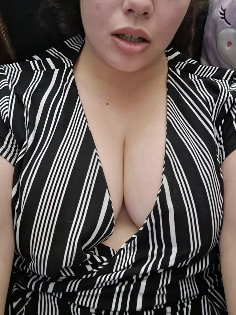 happy Tuesday