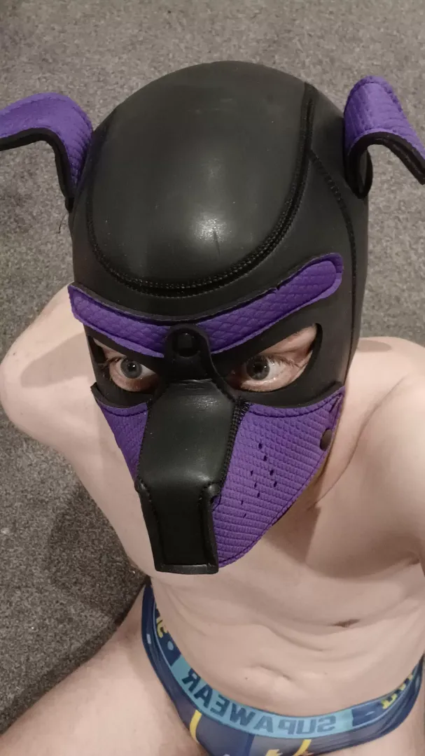 Happy Weekend, pups 🐶