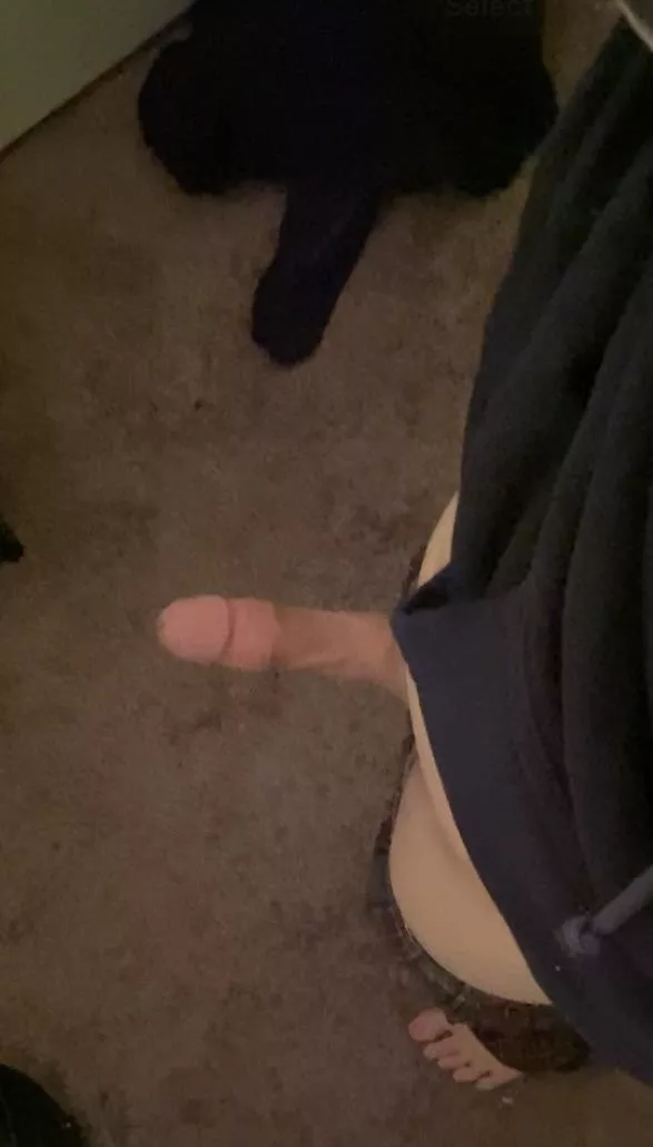 hard as fuck today