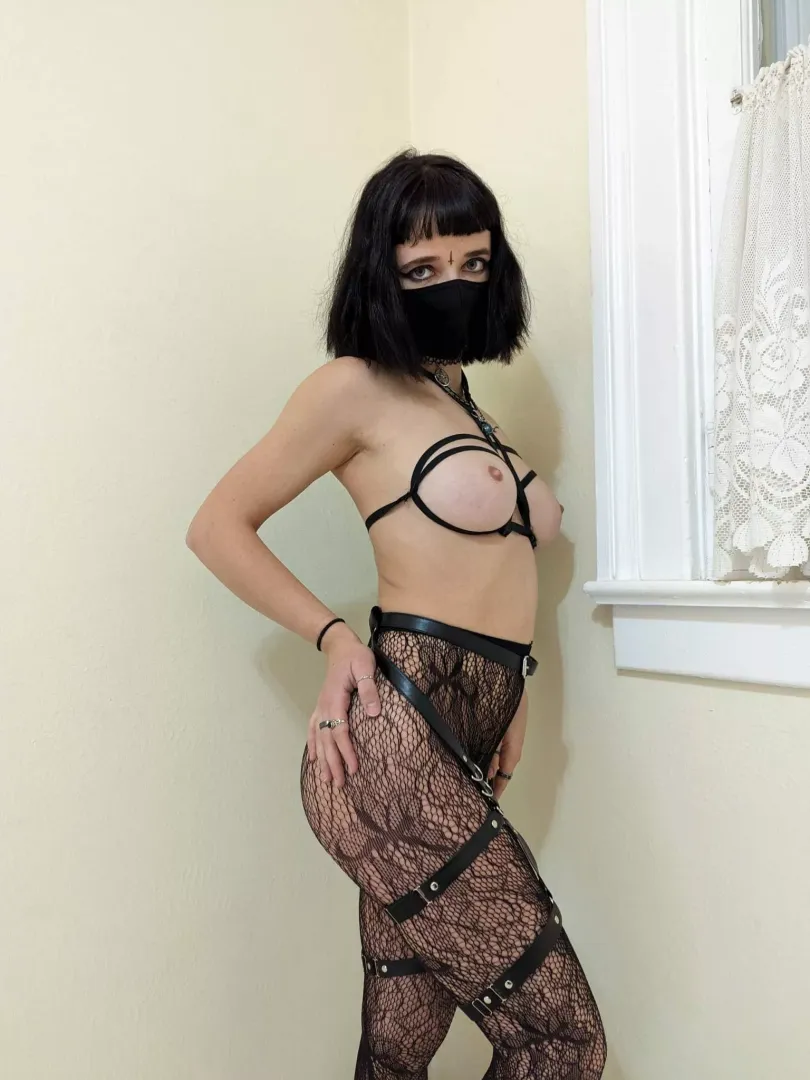 Harness and fishnet makes me more breedable 🤍