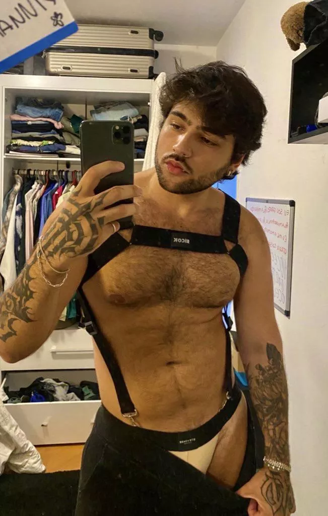 Harness and jockstrap