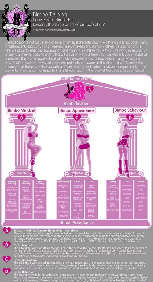 Has anyone looked at the PinkBimboAcademy? Can you recommend any Bimbo training?