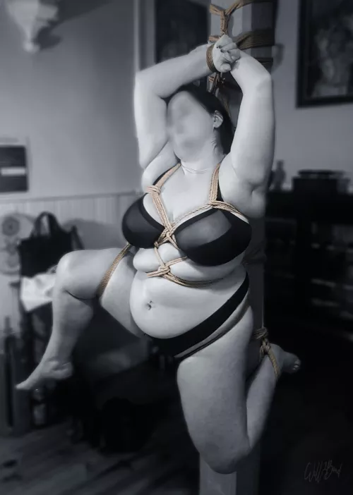 Hashira Suspention