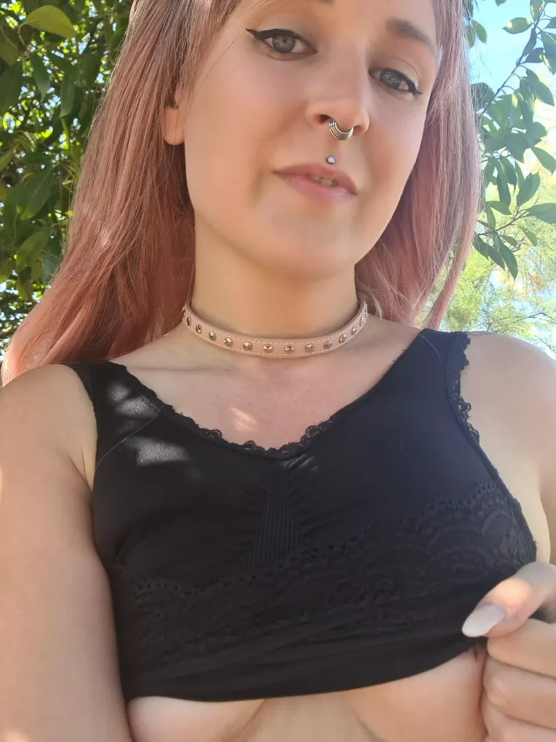 Have Nice Day