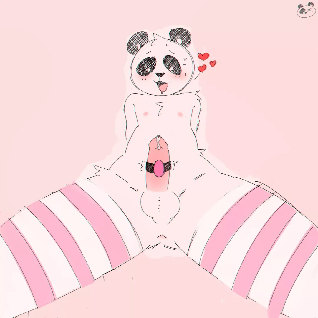 havin' fun (elponda)