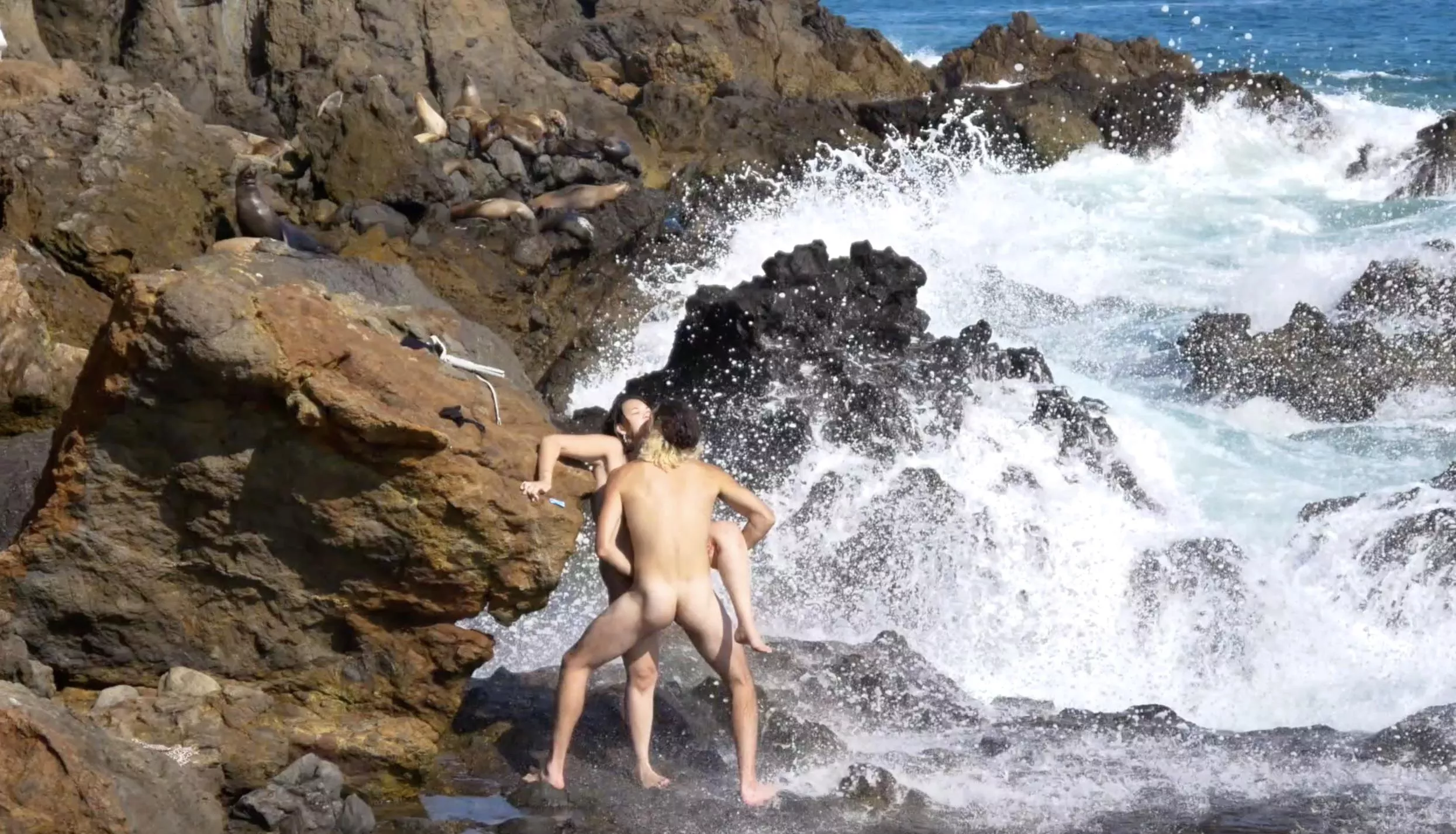 having sex by a bunch of seals! do you see them in the back?