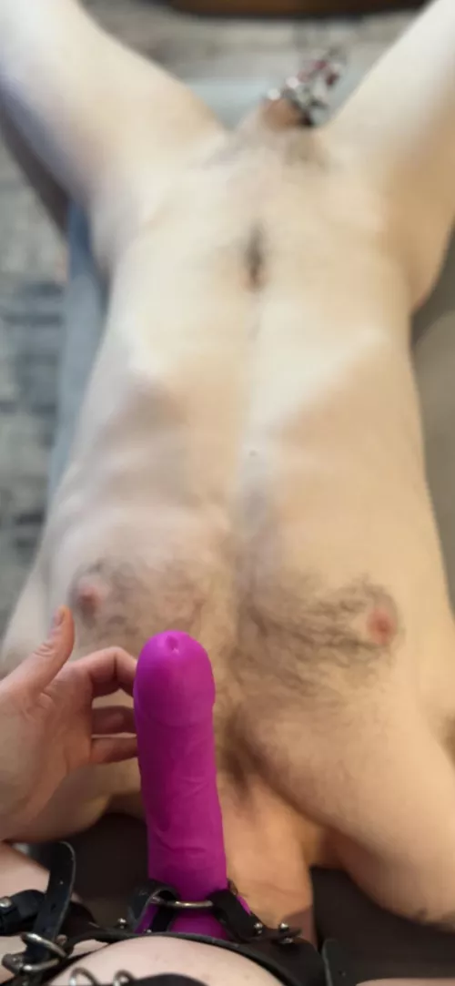 He is going nowhere.🔐