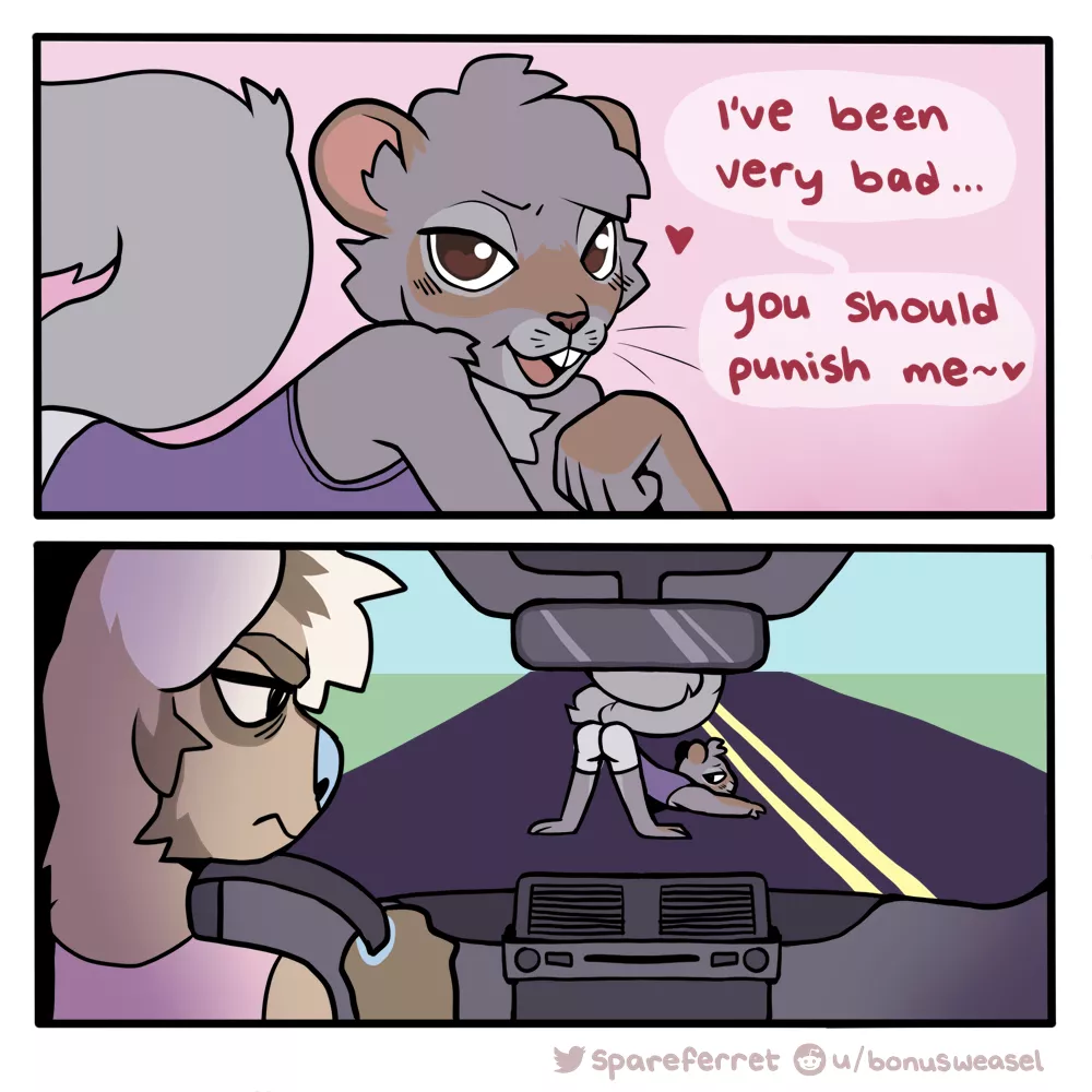 he just ran in front of me (by spareferret on twitter)