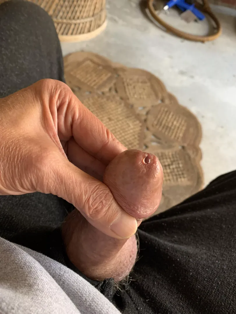 Heads all shiny with precum and more cumming out