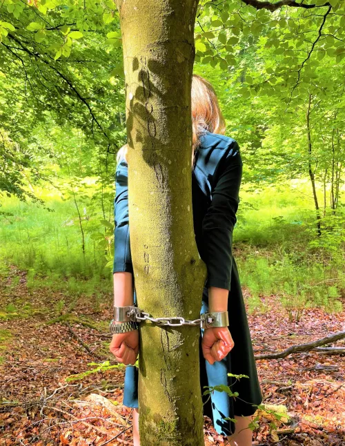Heavy steel shackles + tree - a great combo
