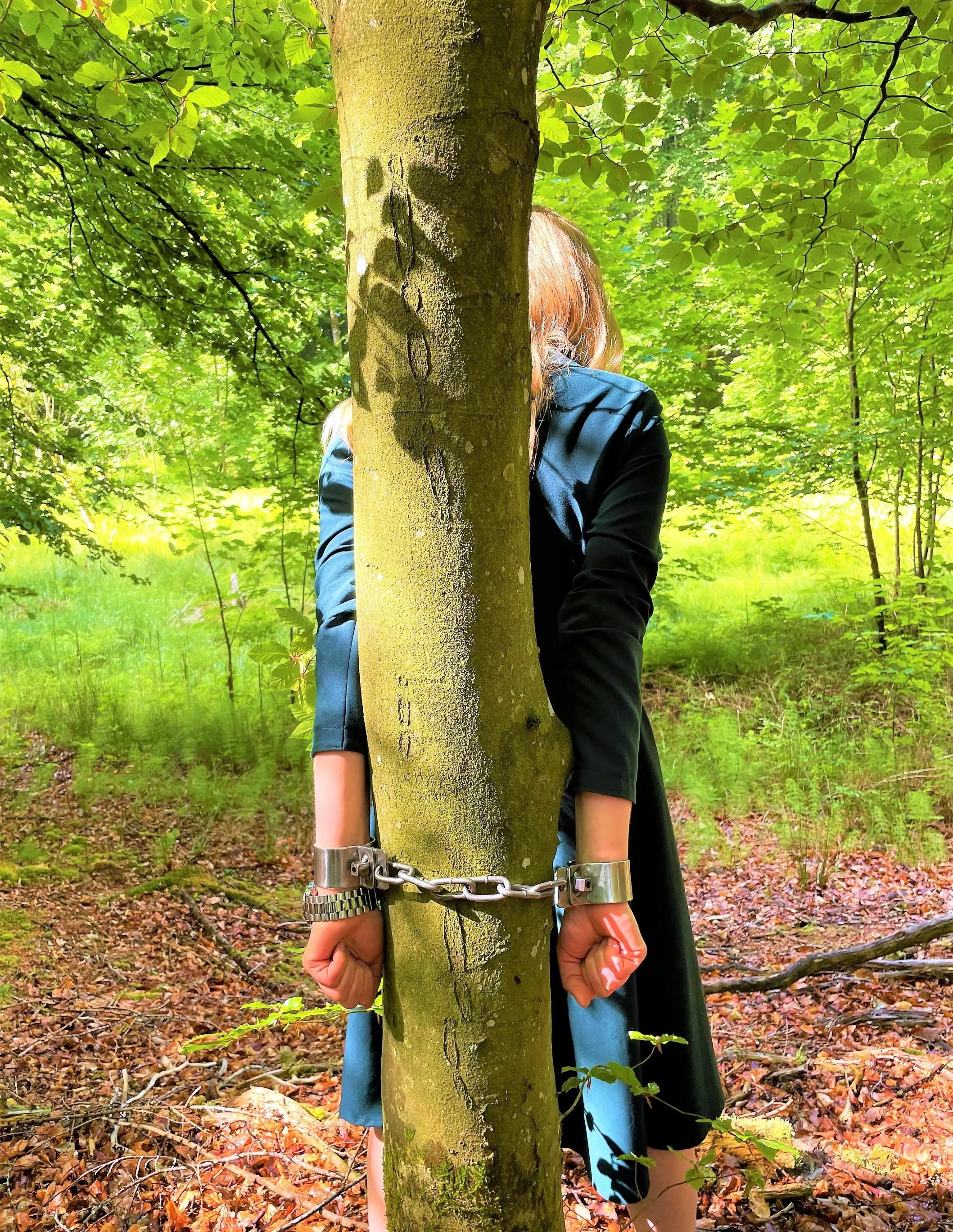 Heavy steel shackles + tree - a great combo