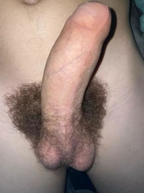 Hello
