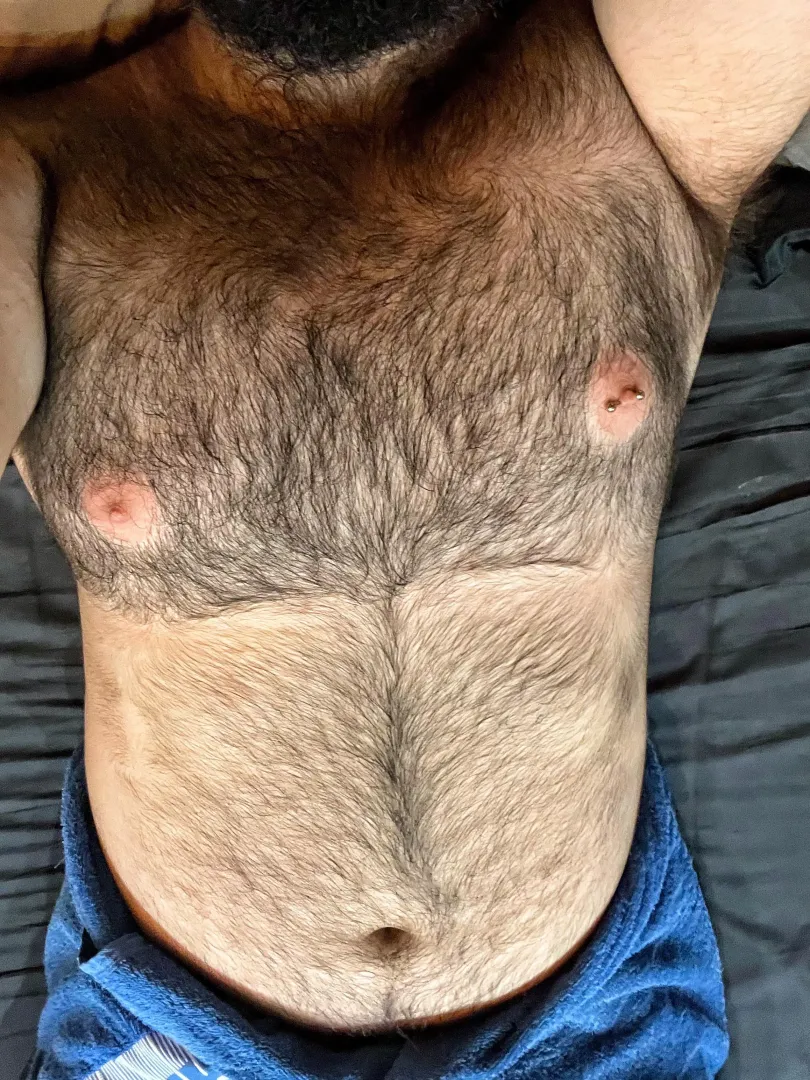 Hello bears!