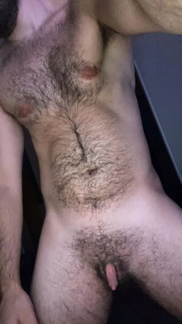 Hello insanely hairy (trans) men lovers 😉