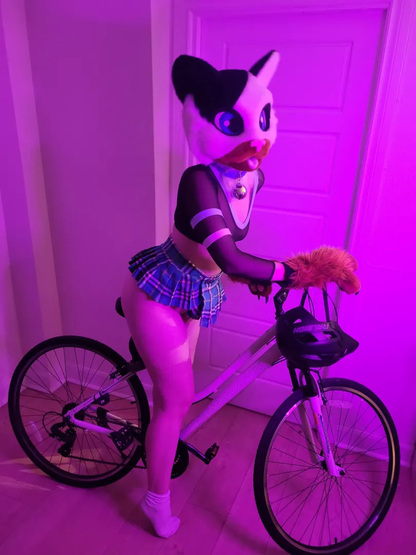 Hello it's Charlie your kitty girl. I feel so horny tonight than I decided to hump my bicycle... I know it's bad😿 but it was so good for my 🐱
