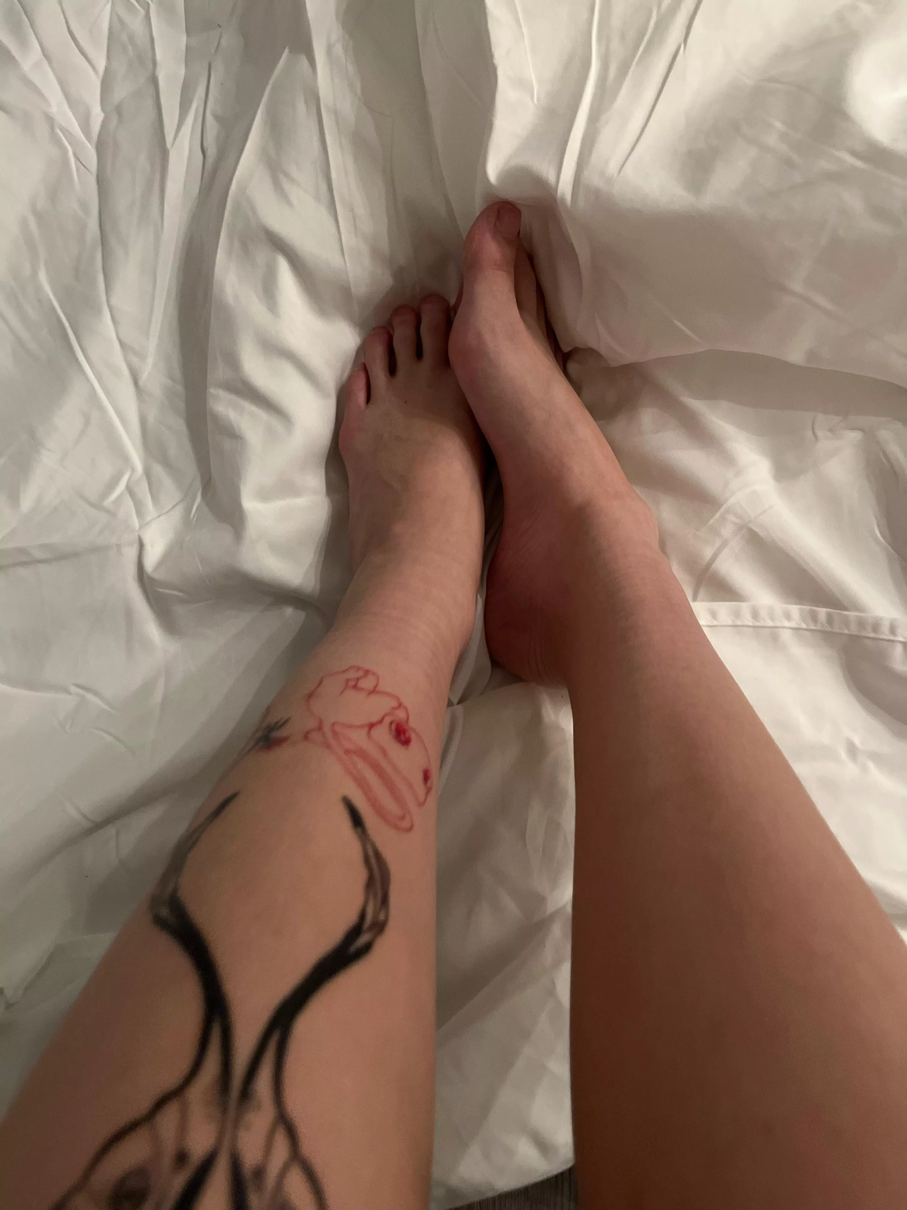 Hello, names Faith! Im 21 years old and wasian! First time here so I’m a little shy 🙈 but what do you think? ;)