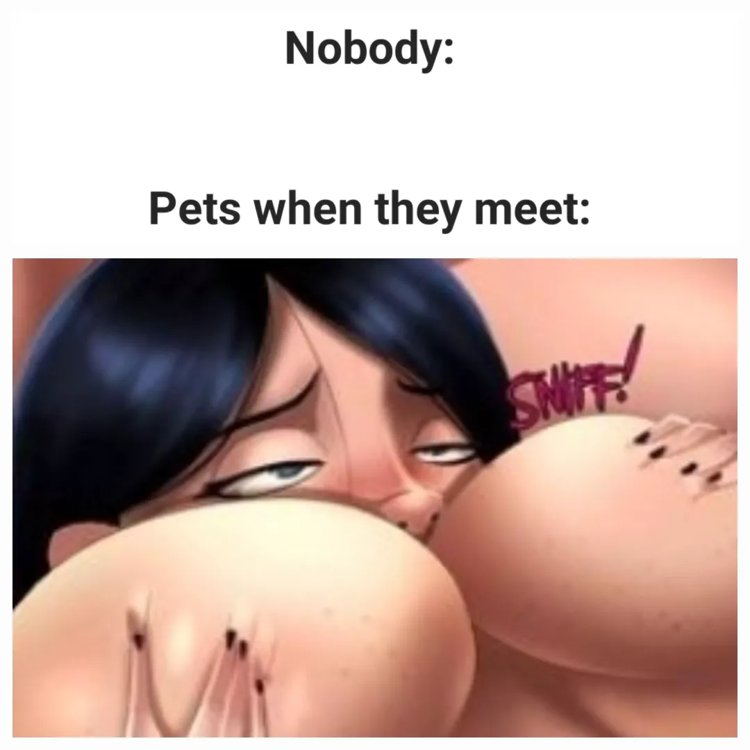 Hello there!