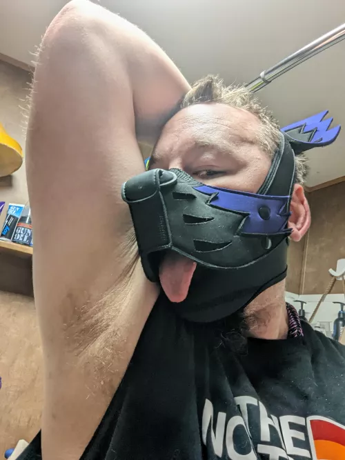 hello there pups! get a whiff while you can