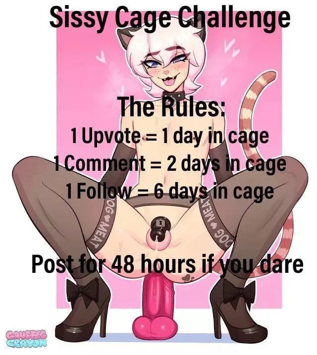 Help an Asian sissy out with her goals?