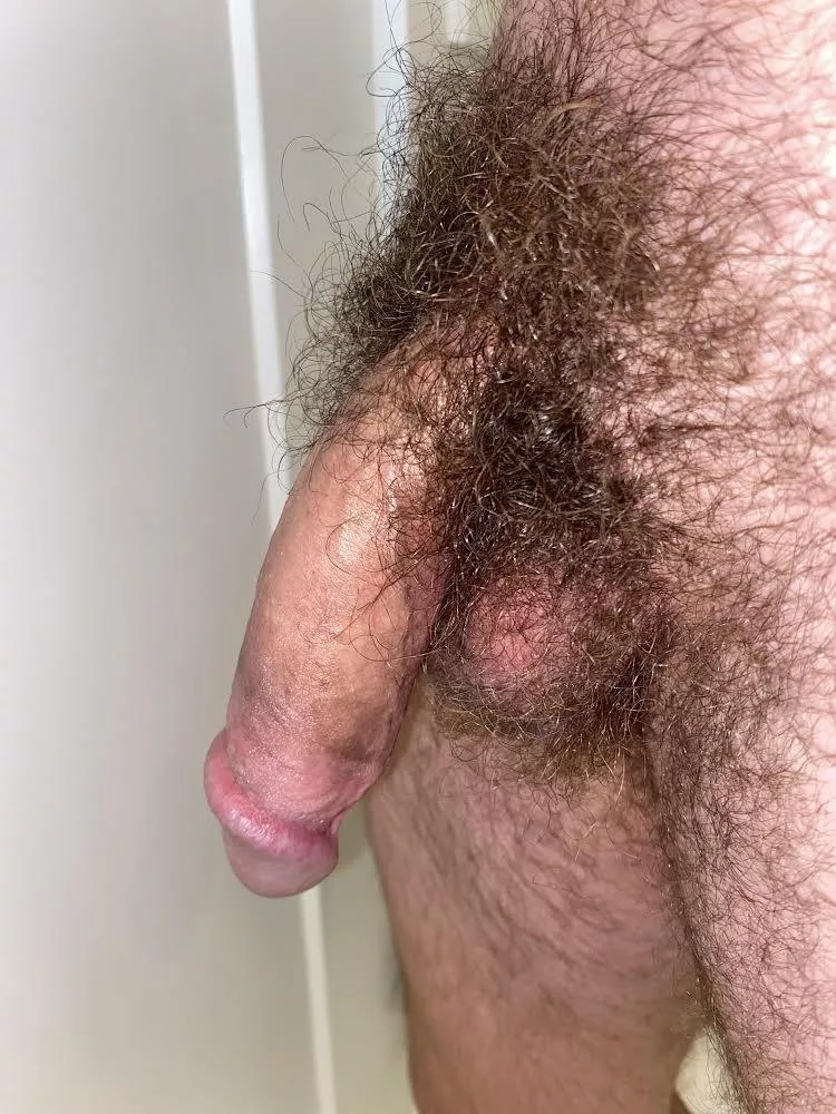 Help me make it hard, lets stroke and nut bros