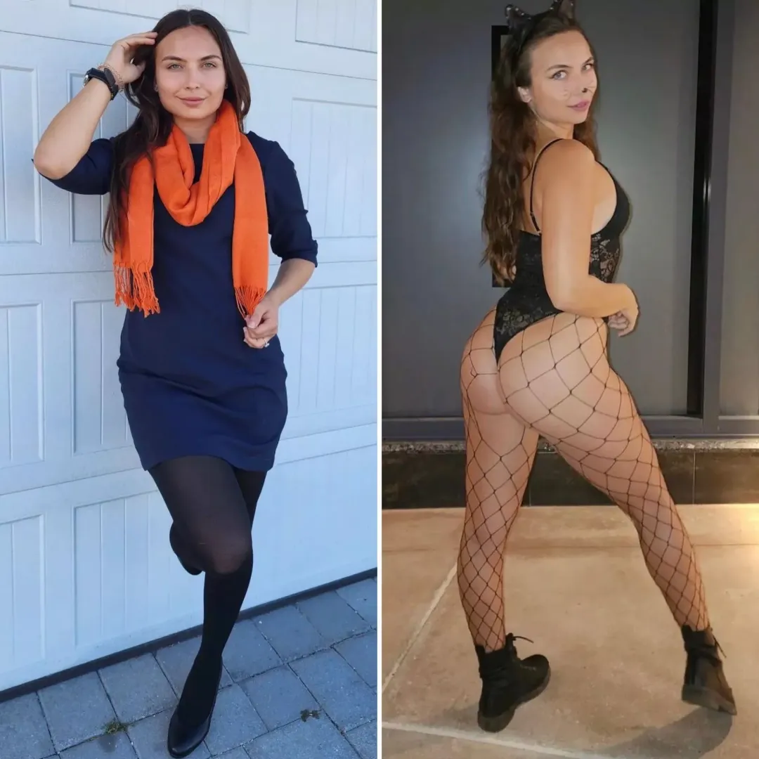 Here kitty kitty