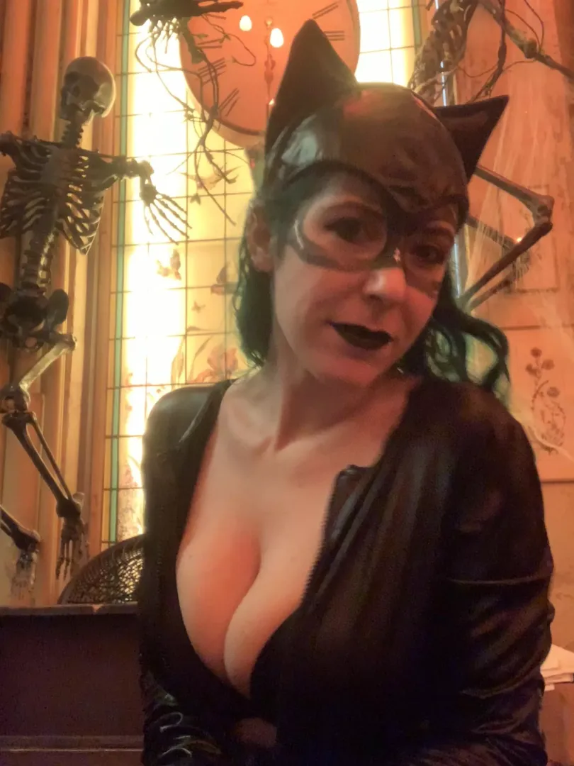 Here Kitty Kitty [image]