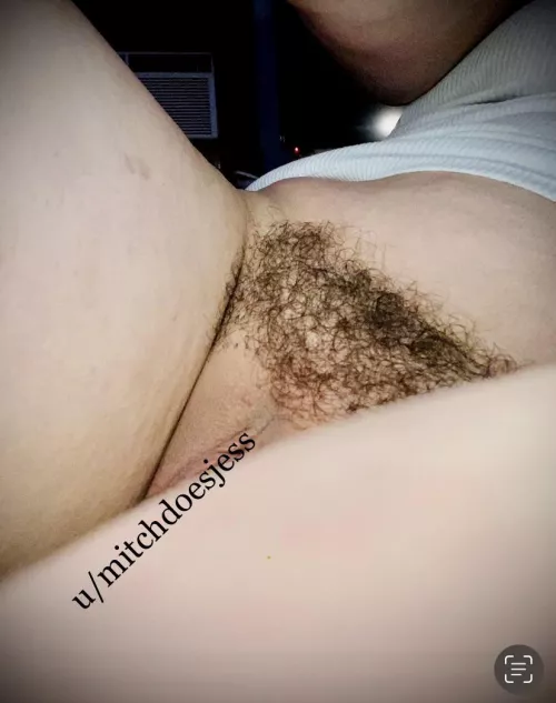 Here’s my bush