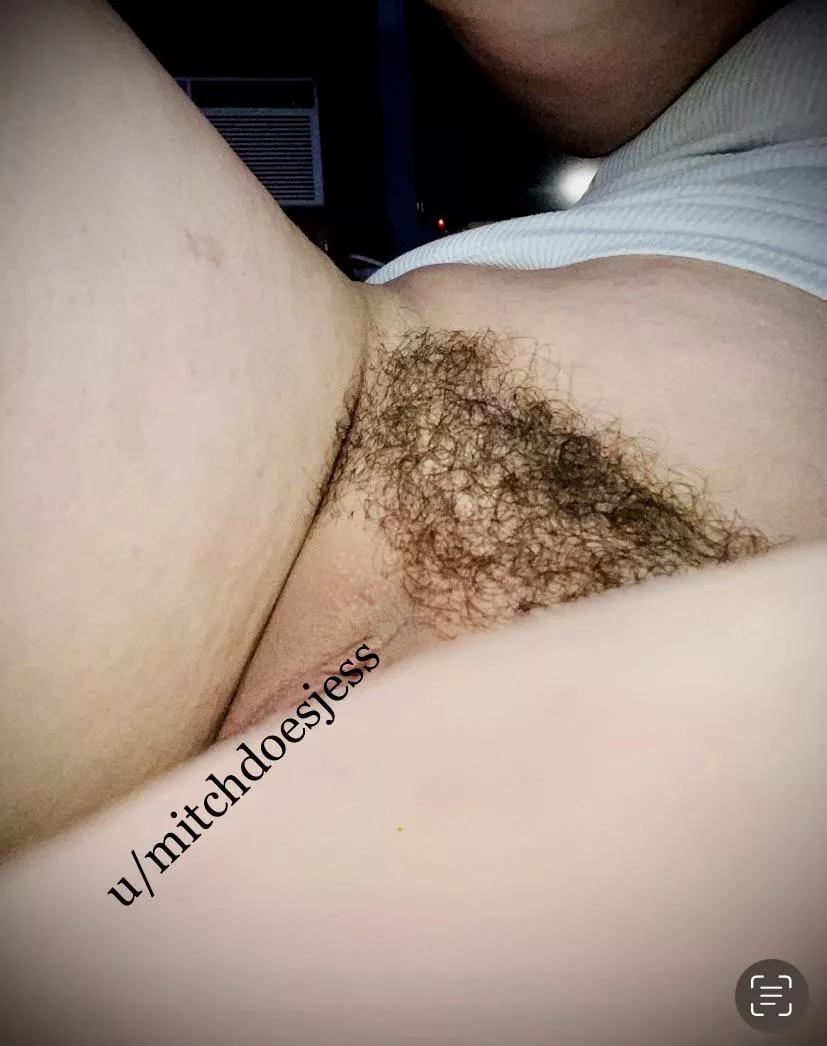 Here’s my bush