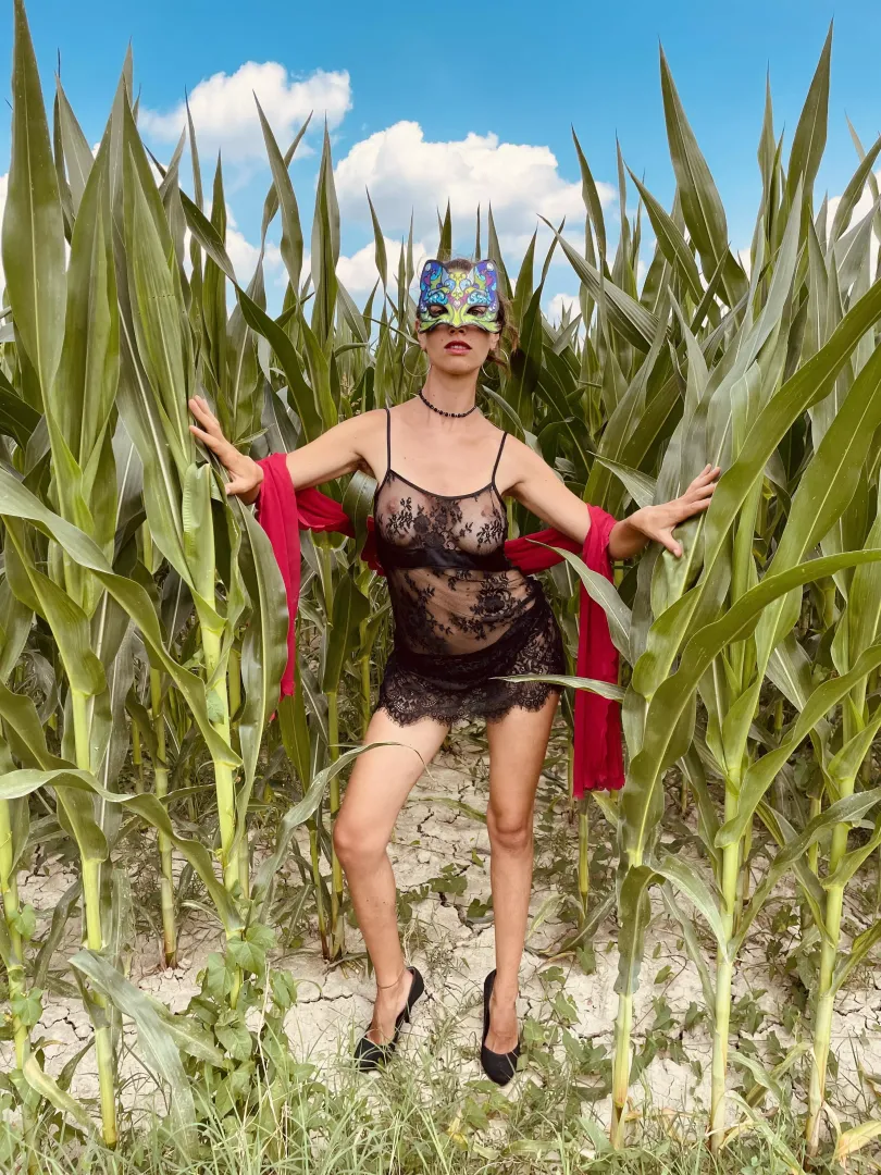 Hey honey! How about a stroll together undisturbed in the cornfields?