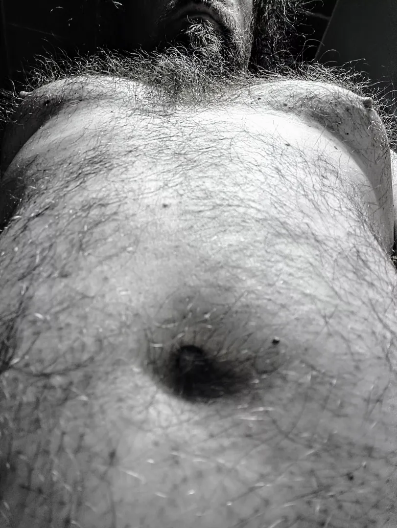Hey is this bear hairy?