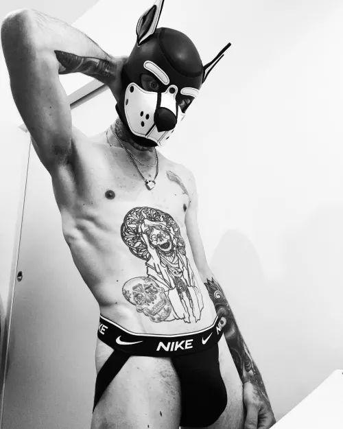 Hey pups 🐾