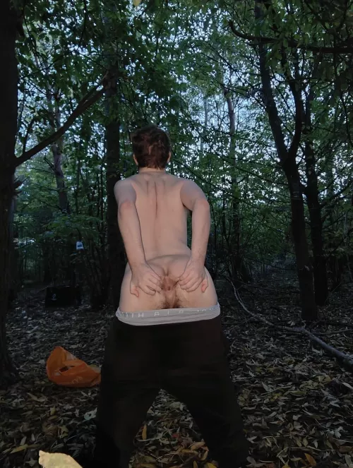 Hey took this on Halloween