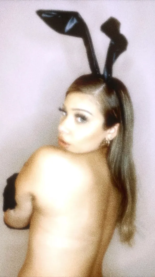 hi bunny