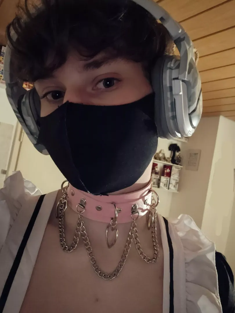 Hi hi :3