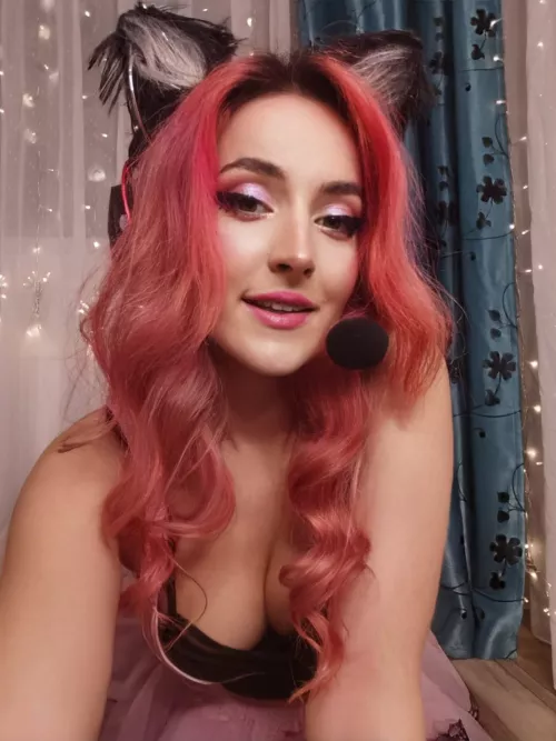 Hi meow