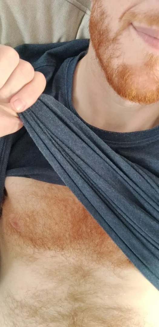 hi 🦊
