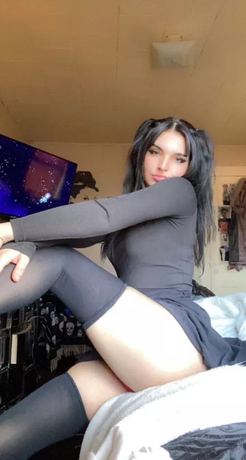 hi (say it back)