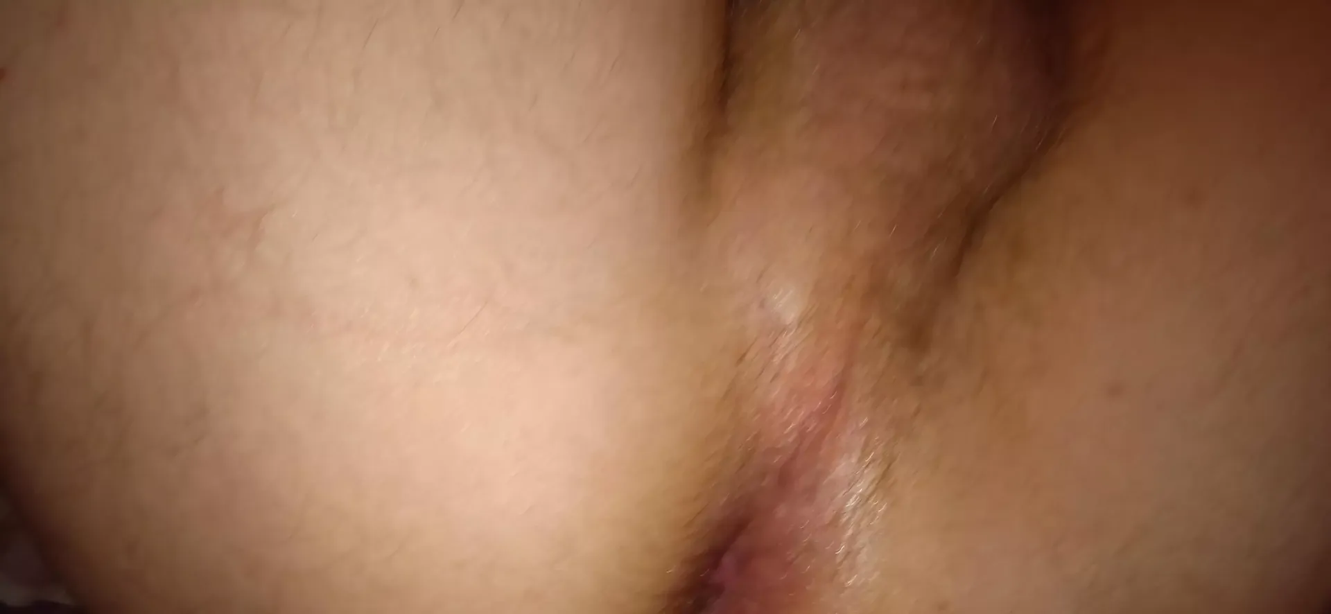 hi somebody want have a free use bitch ?