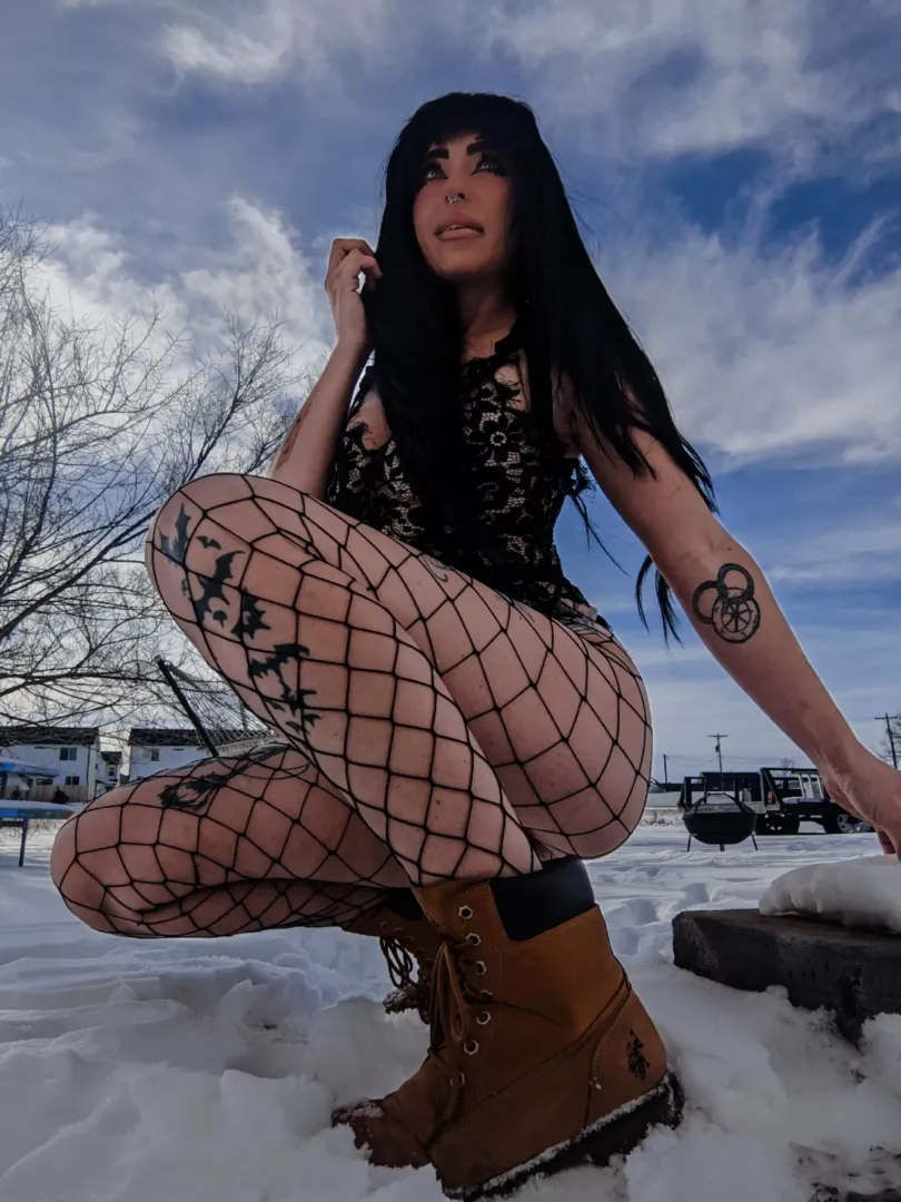 hi there! I'm new. took a bunch of photos out in the snow today. it was invigorating!
