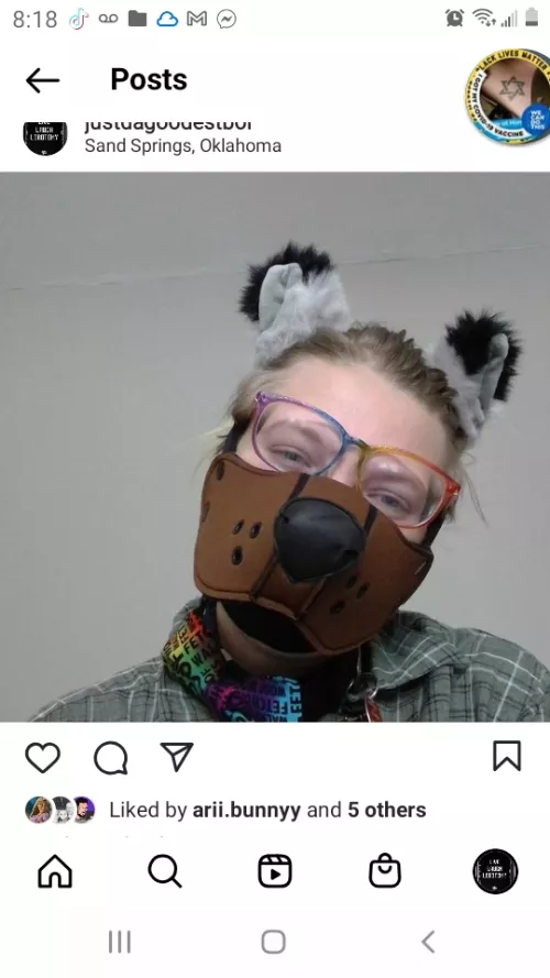 Hi there! my name is Ace and I'm brand new here! I'm an Oklahoma pup and would love to make more friends!!