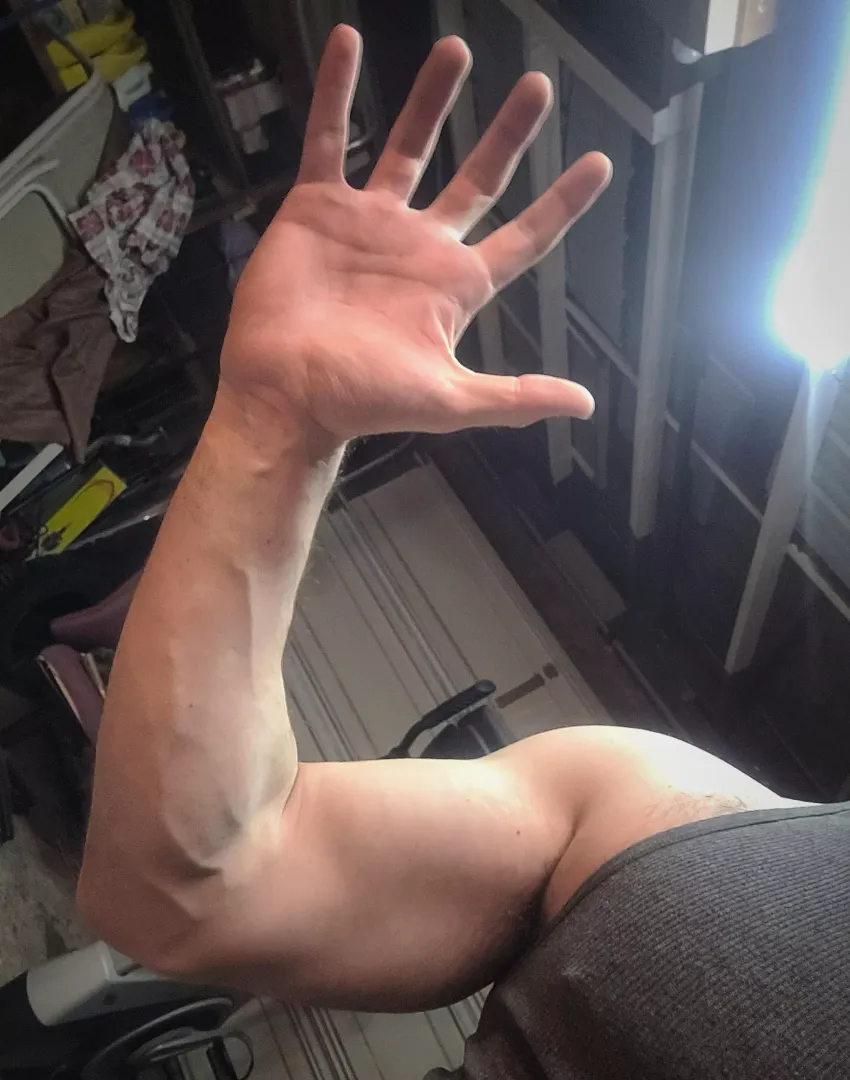 hi 👋
