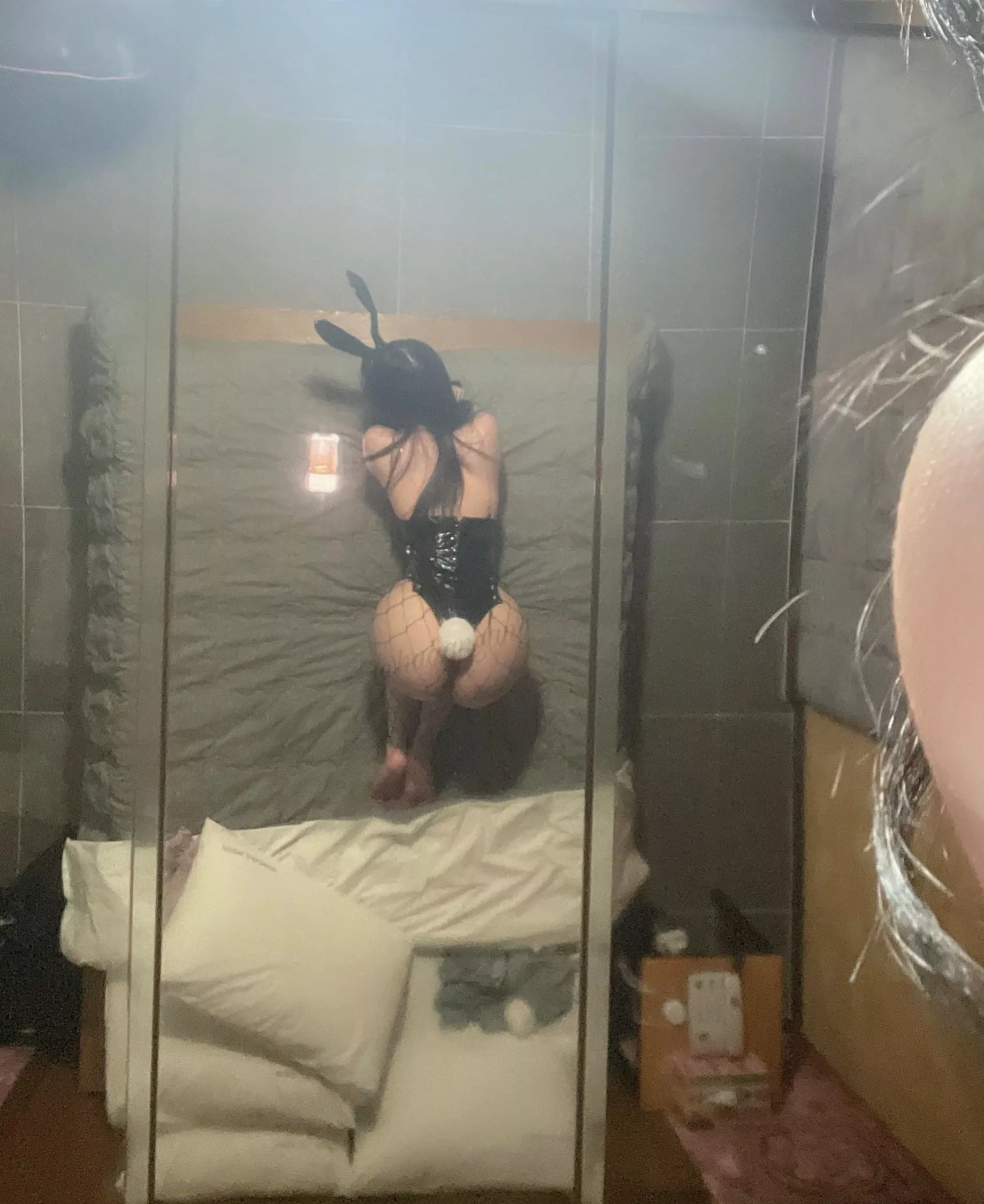 Hi🐰