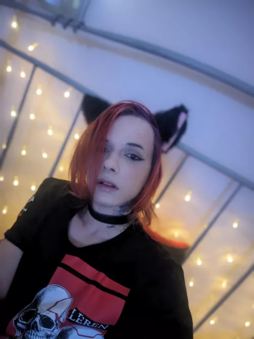 Hi:3
