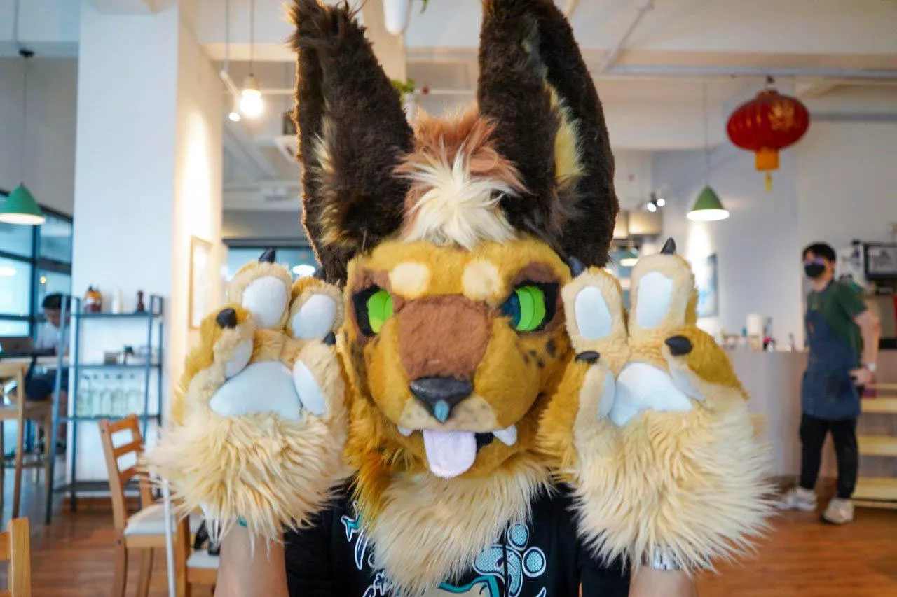 High five (paw?)! (@MaxKaneTraveler)