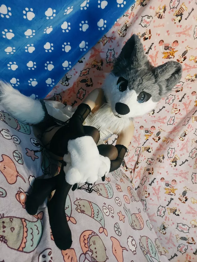 Hii I'm new c: (F)