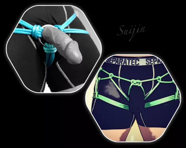 Hip Harness on Him