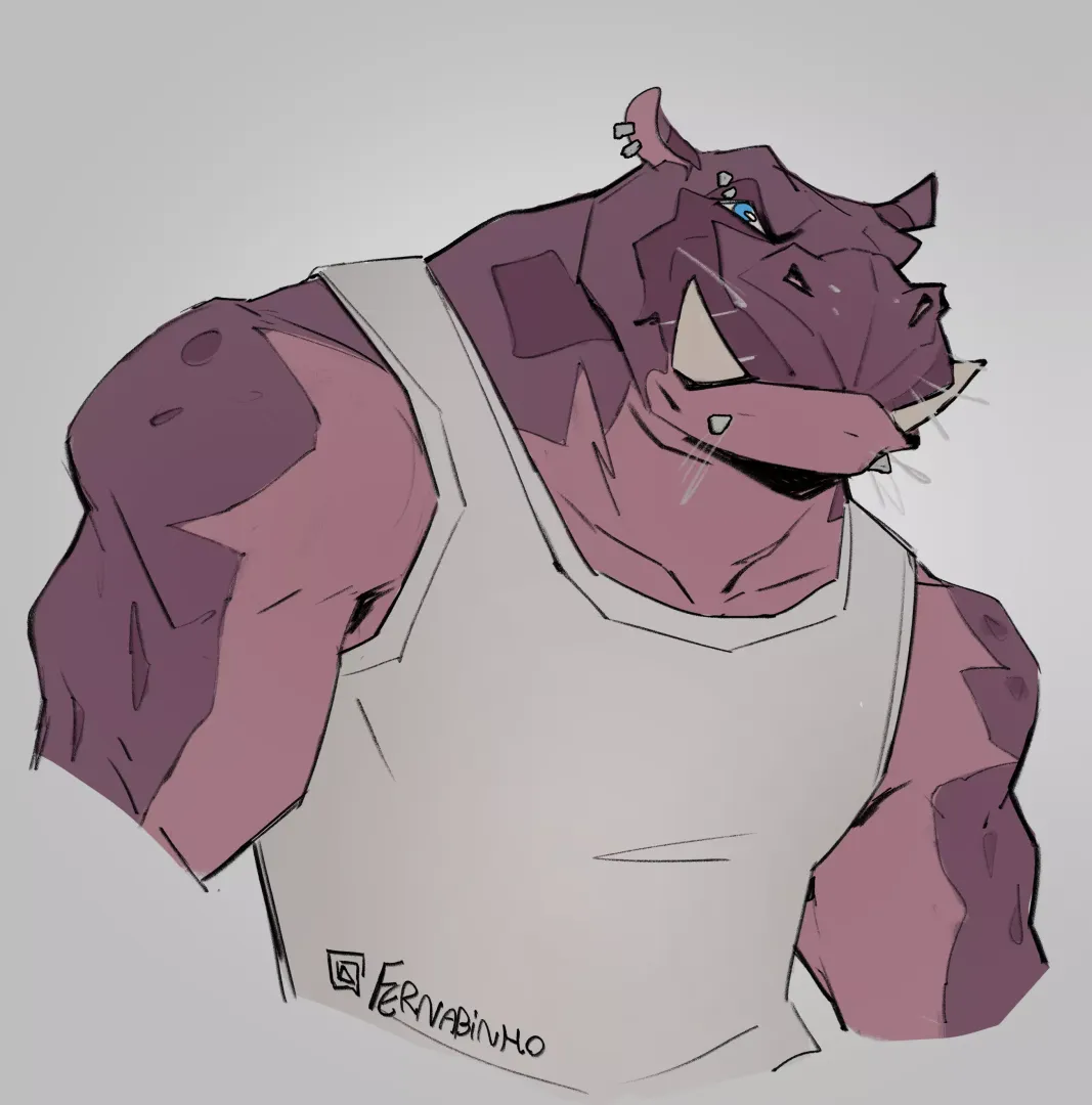 hipopo 🦛