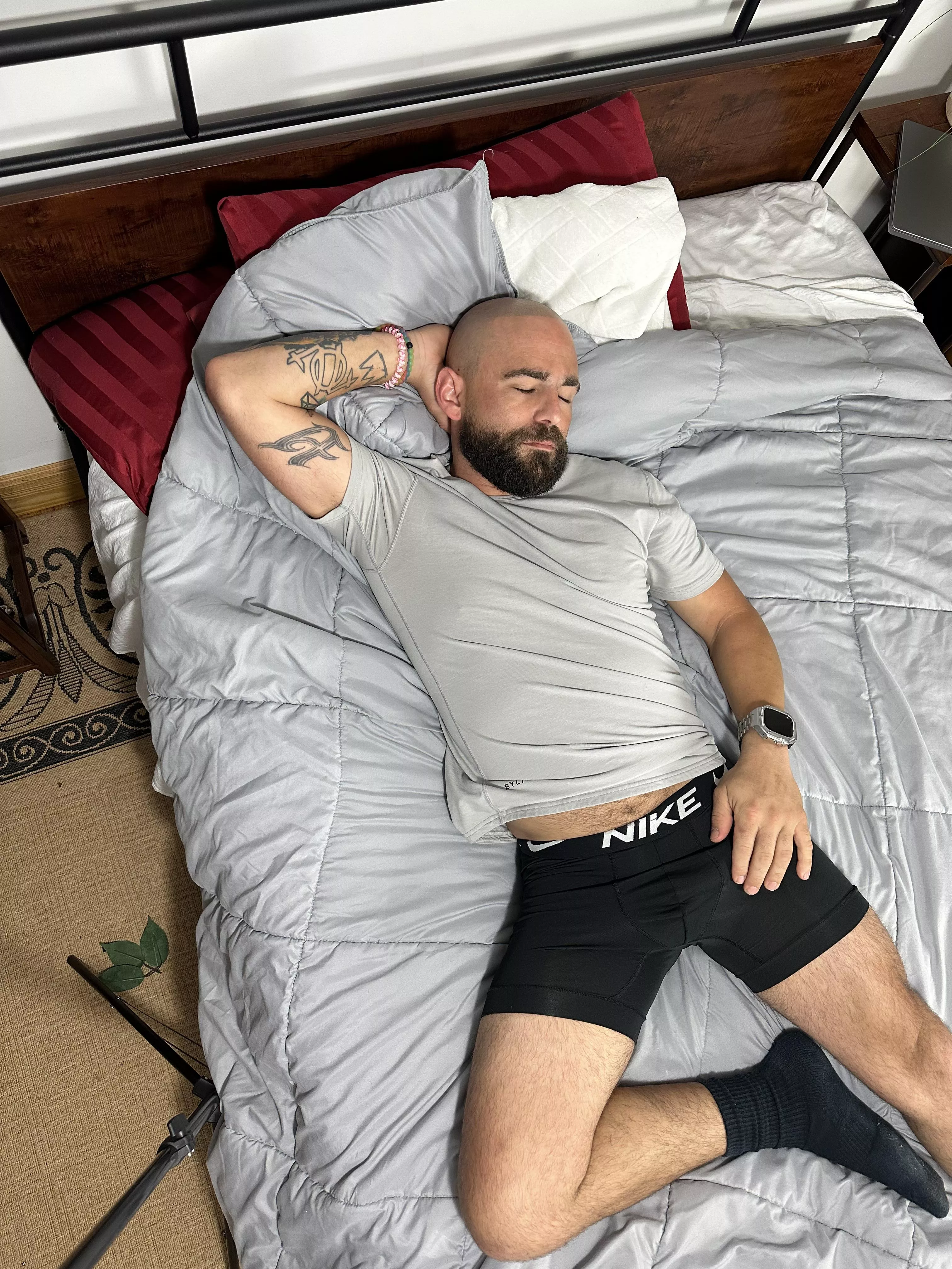 Hmmm afternoon nap? (36)