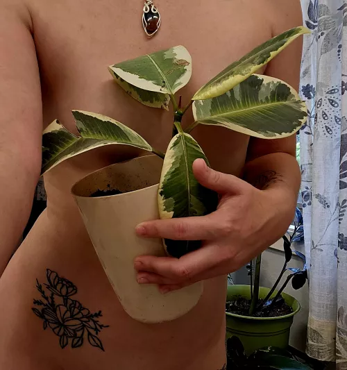 Hobbies are good for the soul. 💋🪴