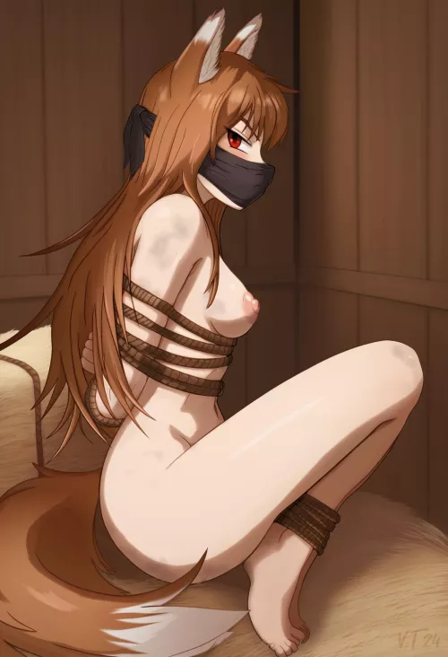 Holo bound and gagged (VnTn)